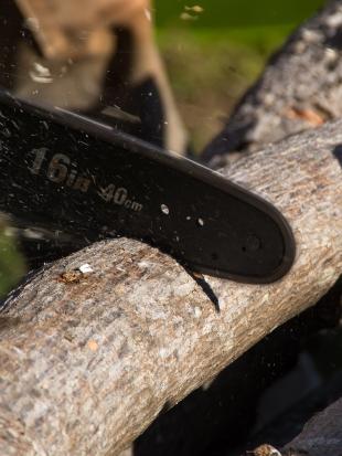 Abattage – Démontage